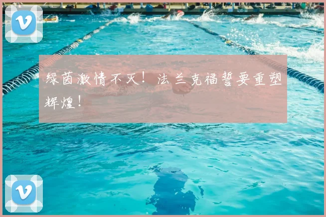 绿茵激情不灭!法兰克福誓要重塑辉煌!
