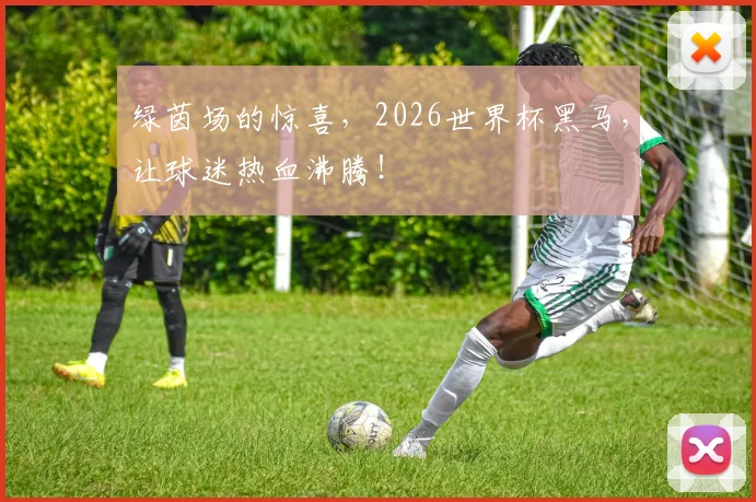 绿茵场的惊喜,2026世界杯黑马,让球迷热血沸腾!