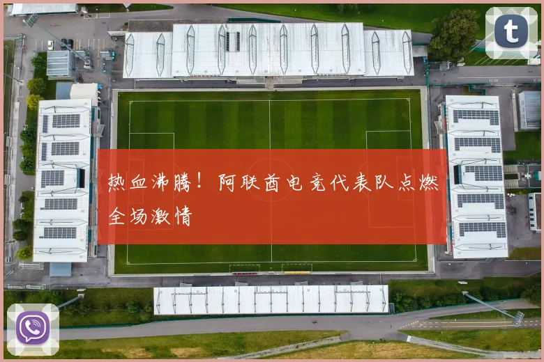 热血沸腾！阿联酋电竞代表队点燃全场激情